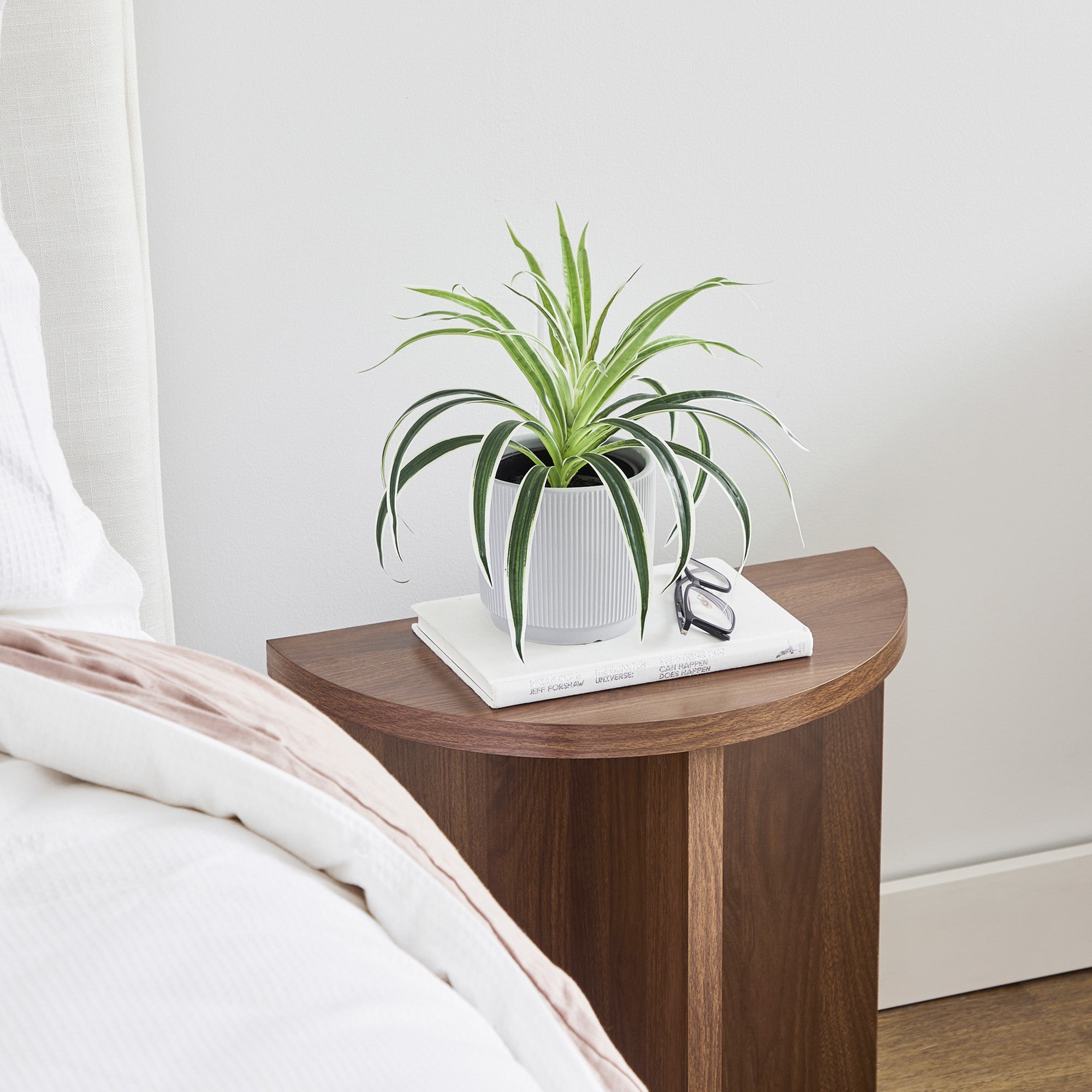 Norquay Side Table Walnut