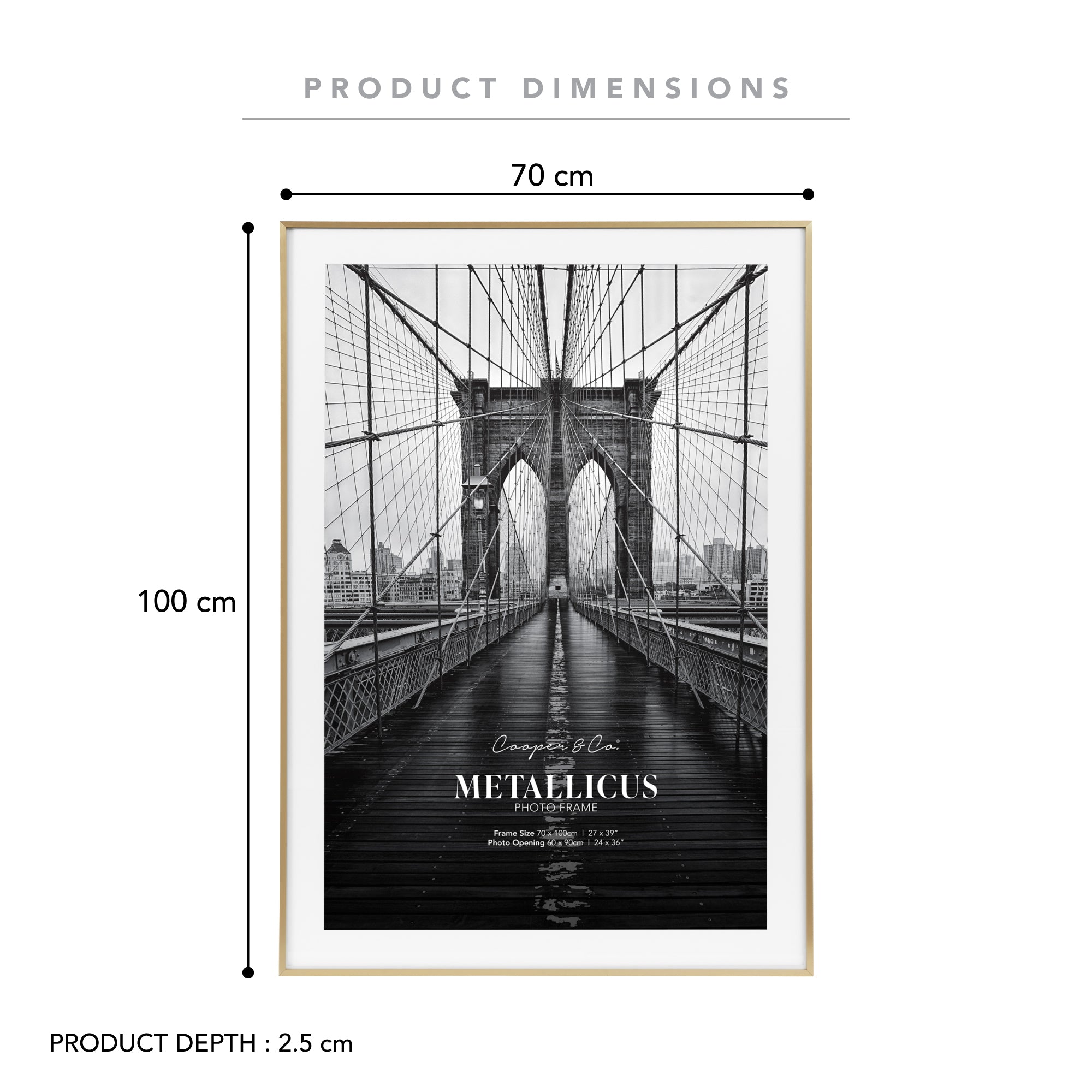 70x100cm Mat to 60x90cm Premium Metal Photo Frame