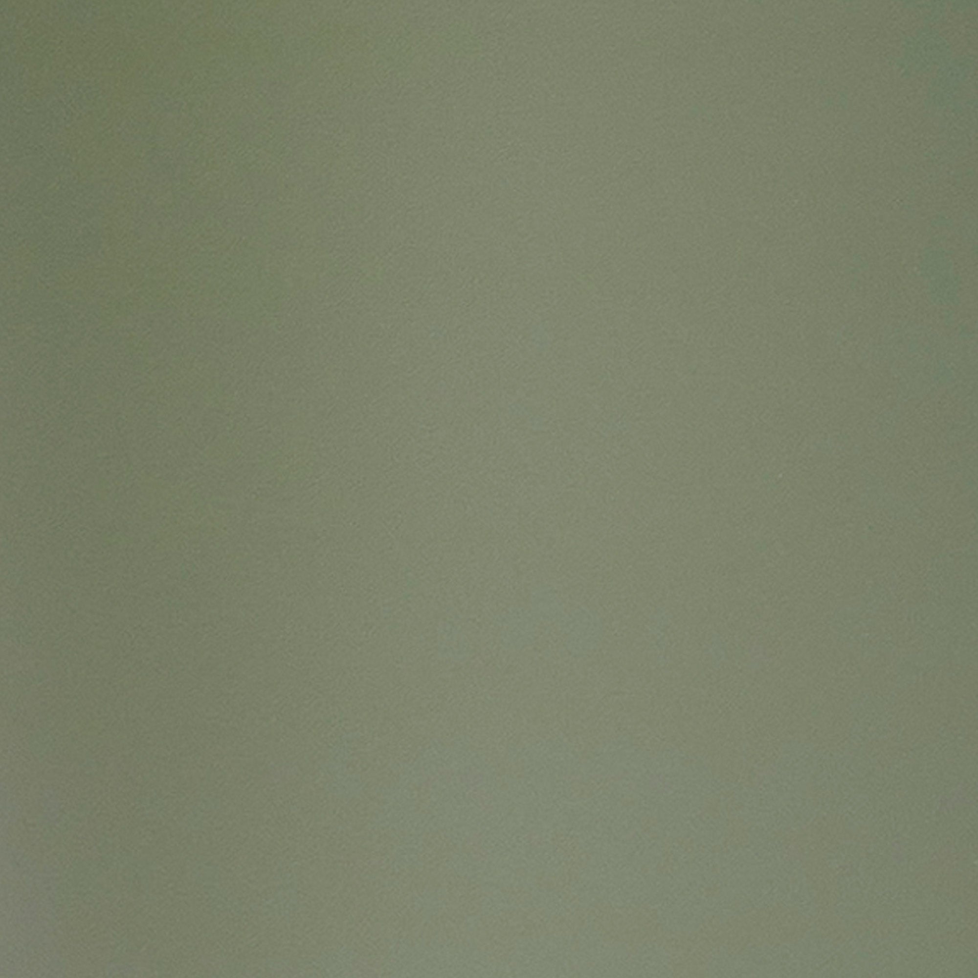 Boston Bookcase Green