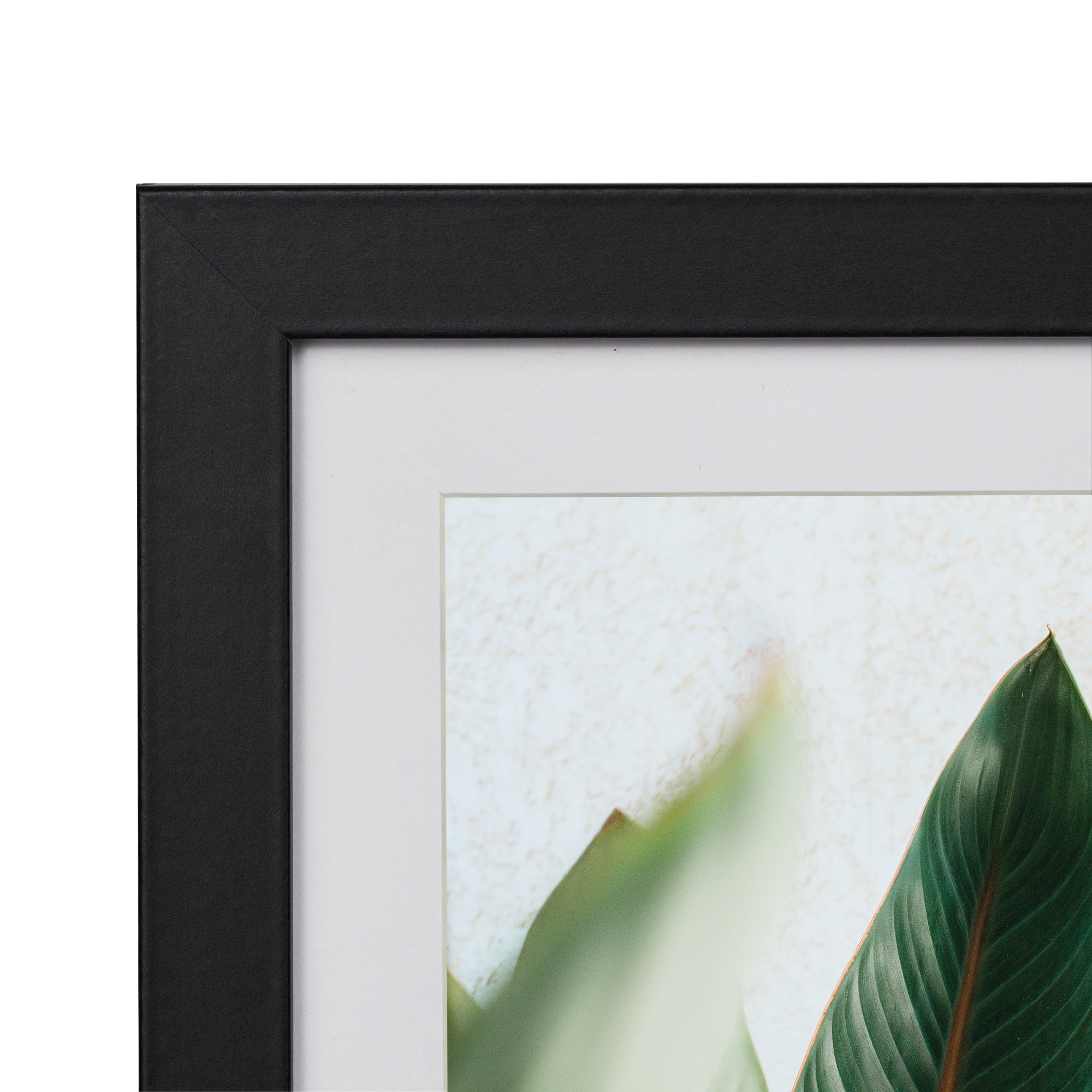 Set Of 4 15x20cm Mat to 10x15cm Premium Paradise Wooden Photo Frame