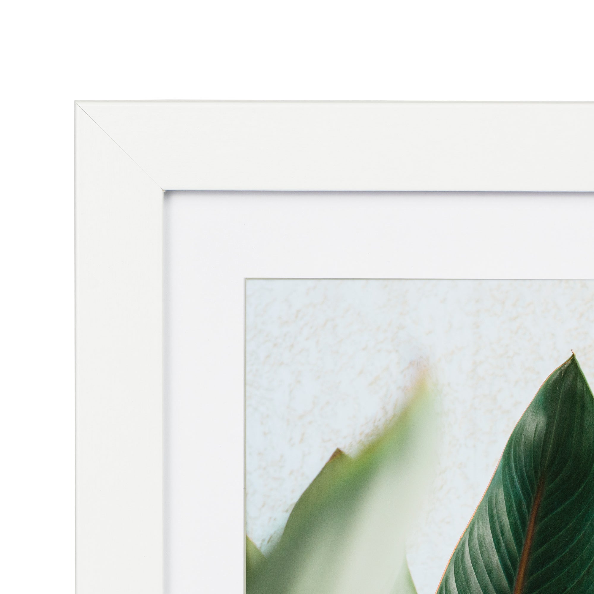Set Of 4 15x20cm Mat to 10x15cm Premium Paradise Wooden Photo Frame