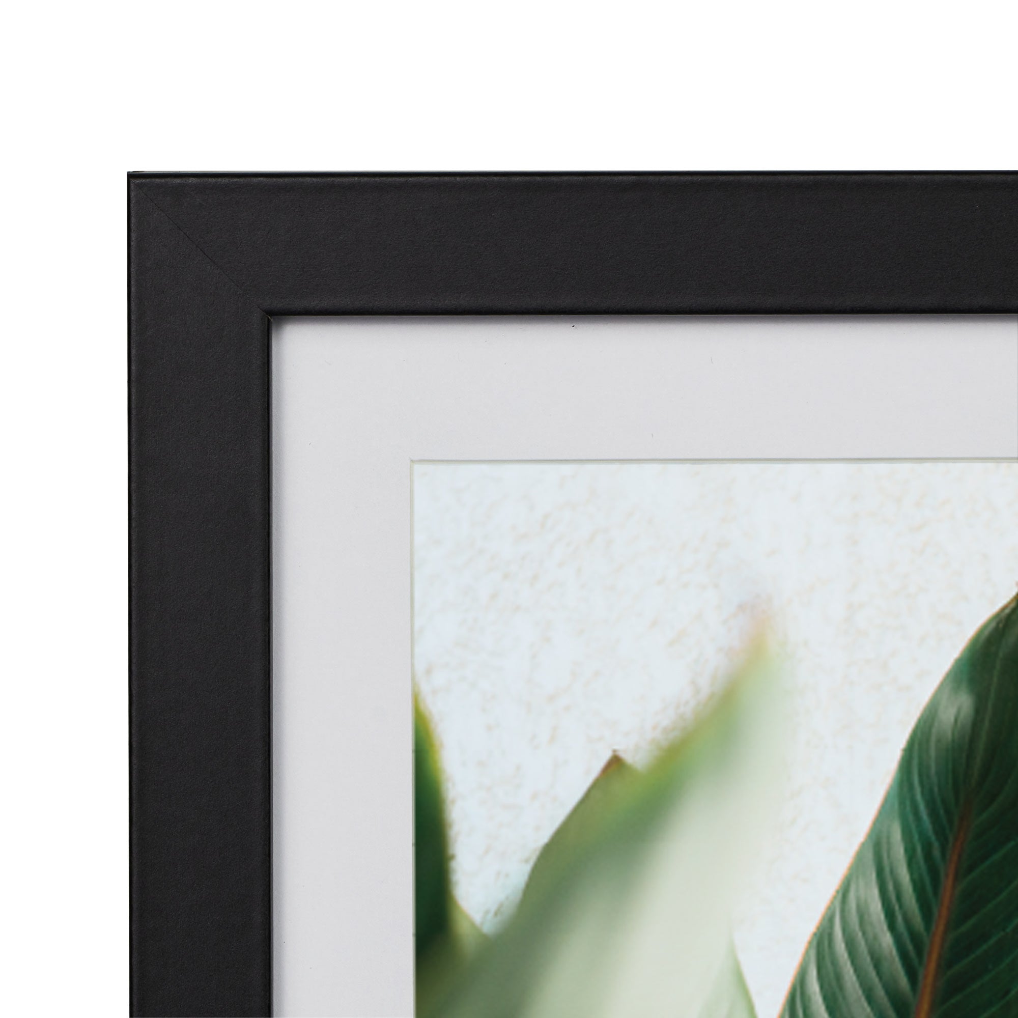 Set Of 4 20x25cm Mat to 13x18cm Premium Paradise Wooden Photo Frame