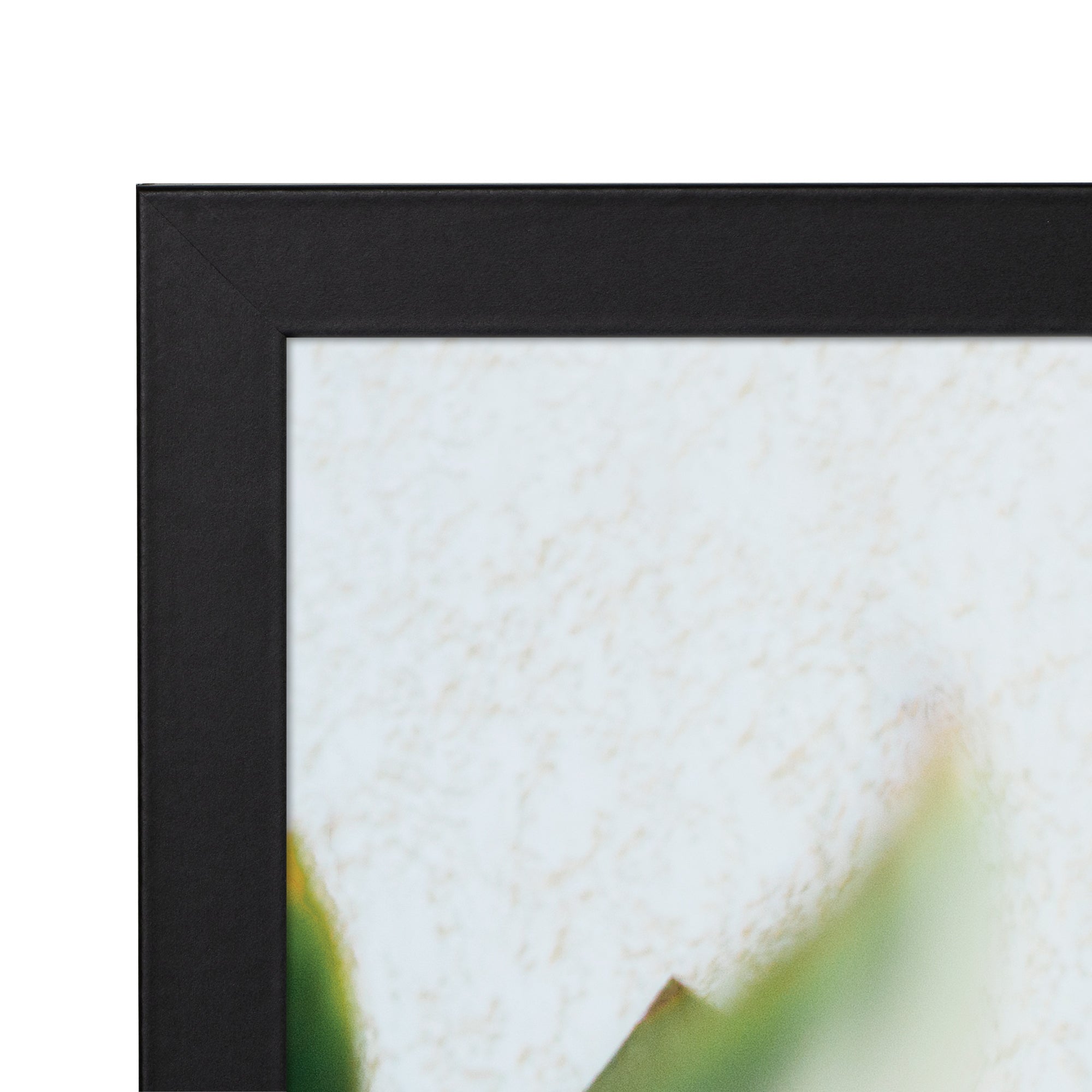 Set Of 2 A4 Premium Paradise Wooden Photo Frame