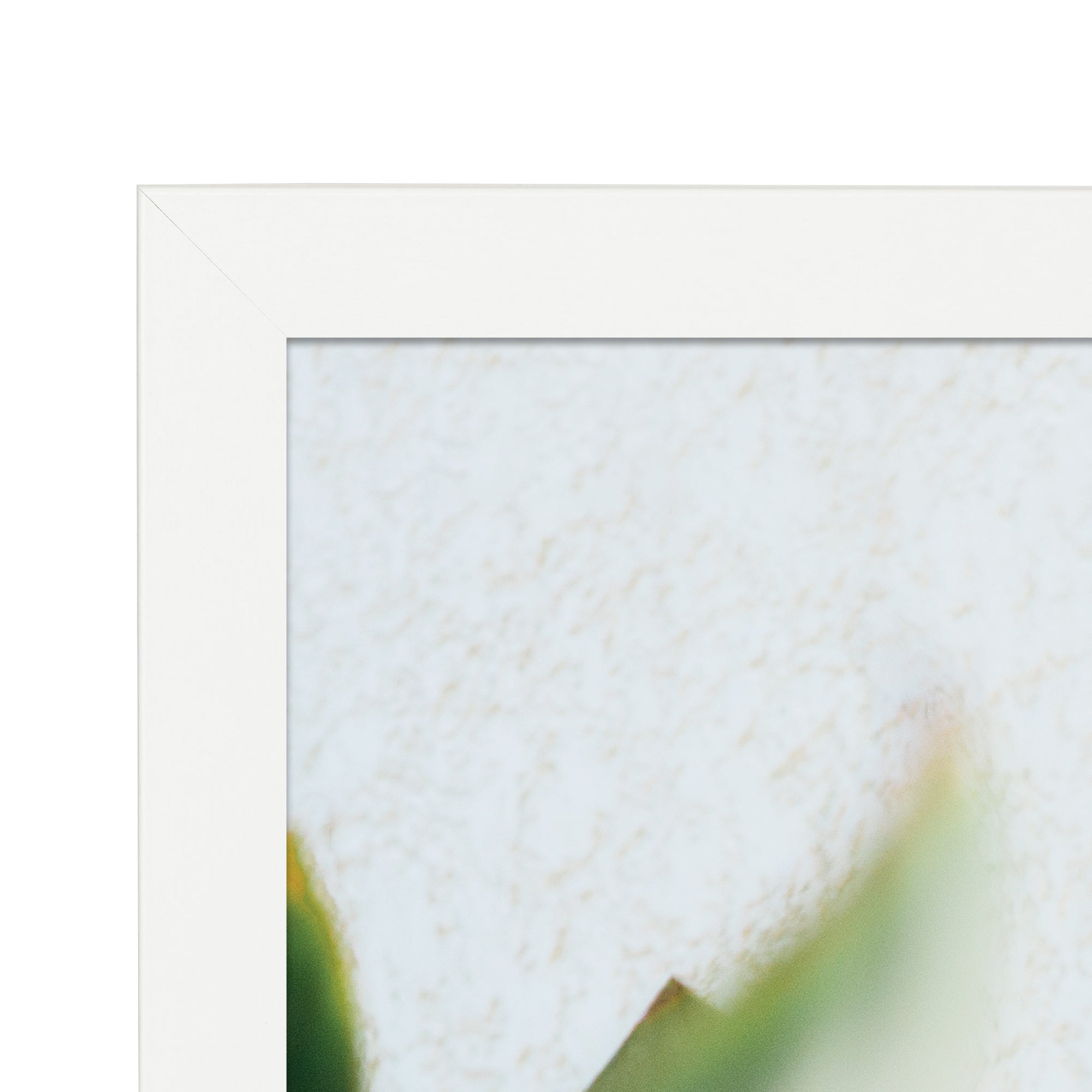 Set Of 2 A4 Premium Paradise Wooden Photo Frame
